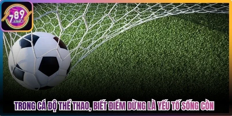 Trong cá độ thể thao, biết điểm dừng là yếu tố sống còn anh em cần biết