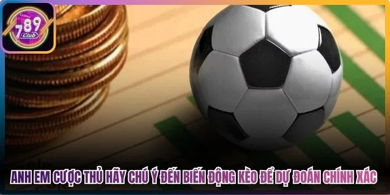 Anh em cược thủ hãy chú ý đến biến động kèo để dự đoán chính xác